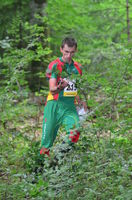 World Championships 2012, Middle Qualification